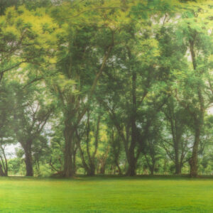 Prémium PANORAMA FOREST sztatikus ablakfólia 67,5cm x 1,5m