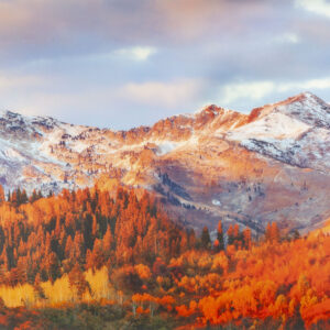 Prémium PANORAMA INDIAN SUMMER sztatikus ablakfólia 67,5cm x 1,5m